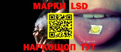 индика Новозыбков